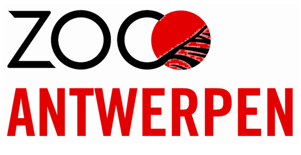 Antwerpen 775x400