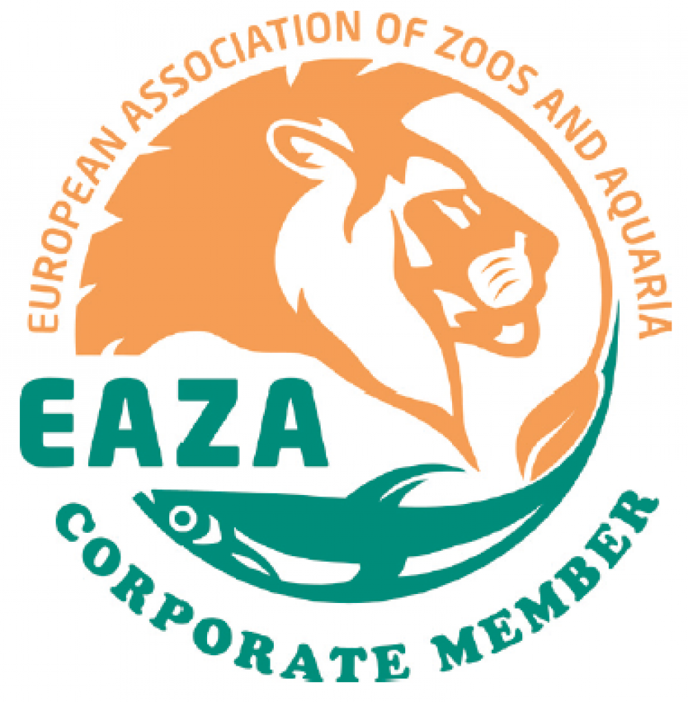 EAZA Corp logo