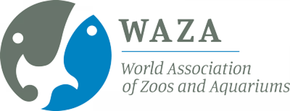 waza logo