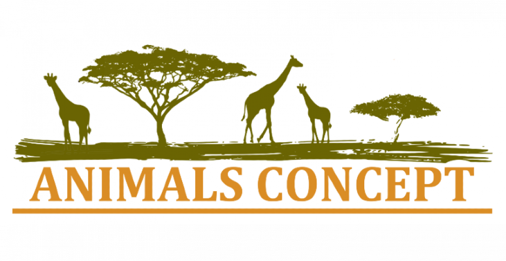 Animal concepts 775x400