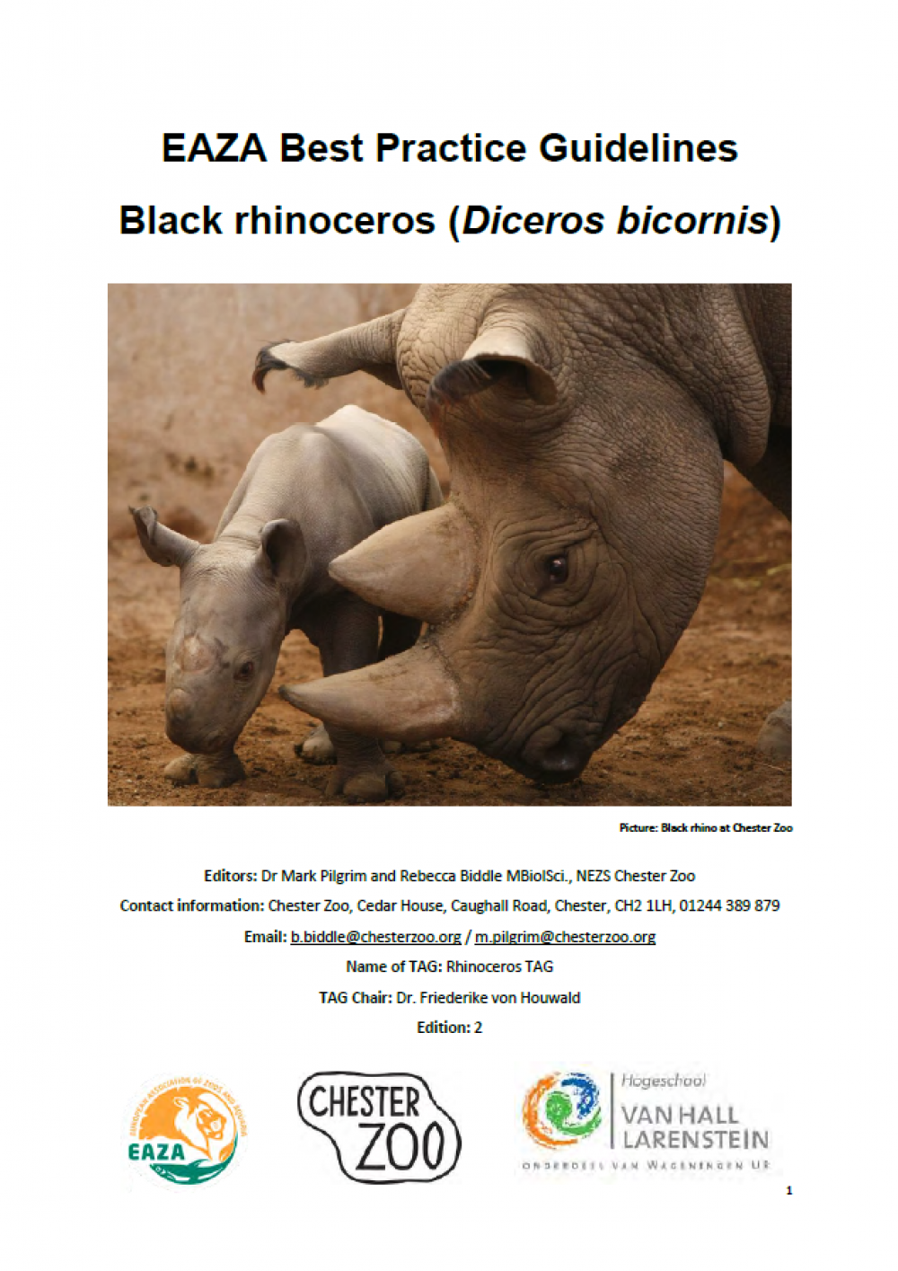 Eastern black rhino BPG