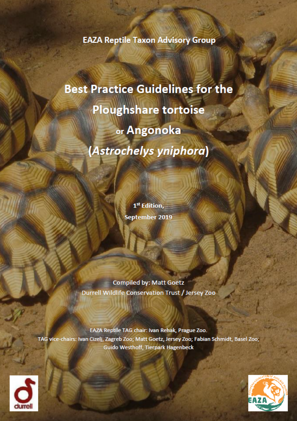 Ploughshare tortoise BPG