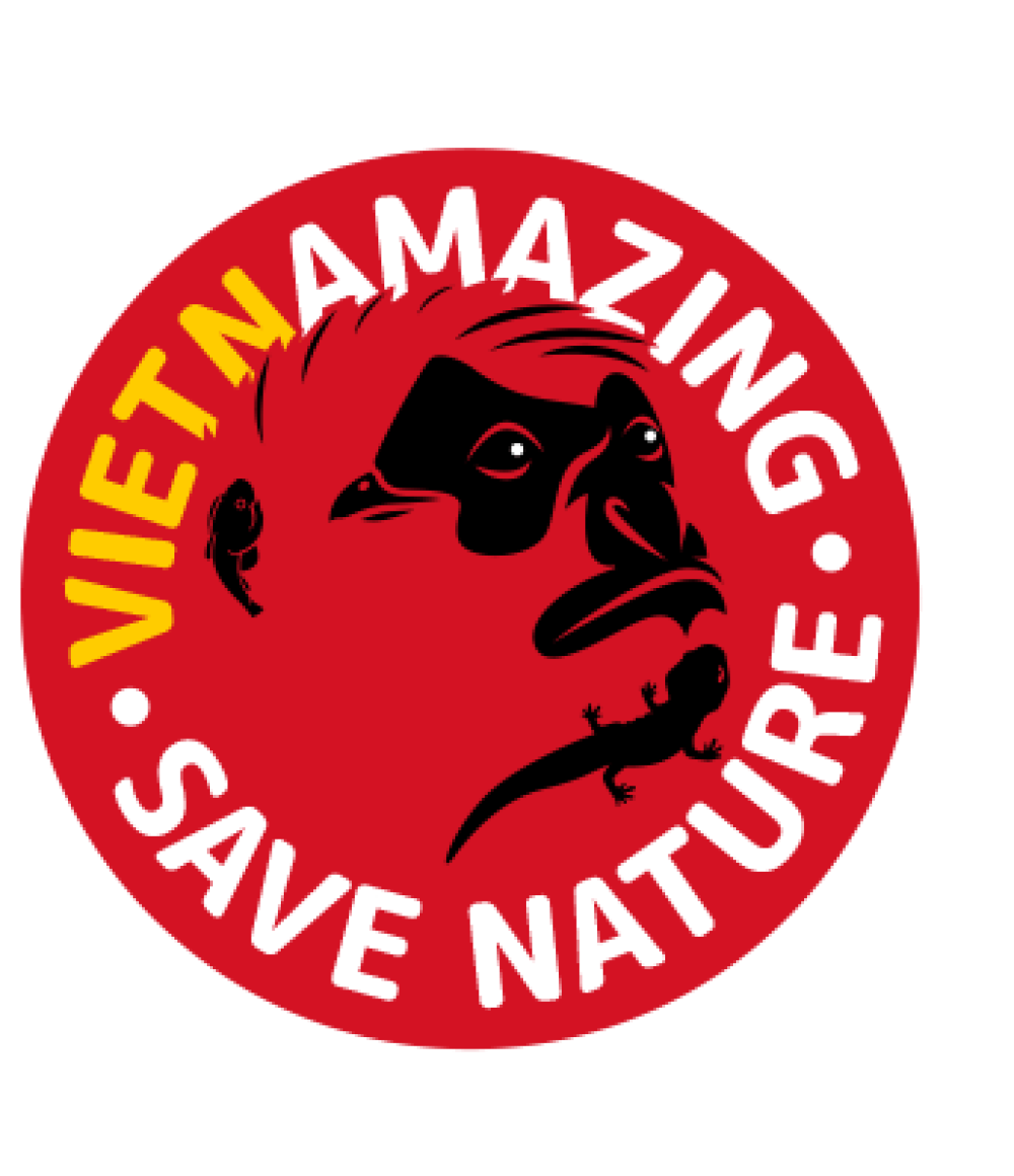 Vietnamazing Logo v3