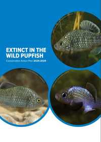 Extinct in the Wild Pupfishes - conservation action plan 2024 - 2029
