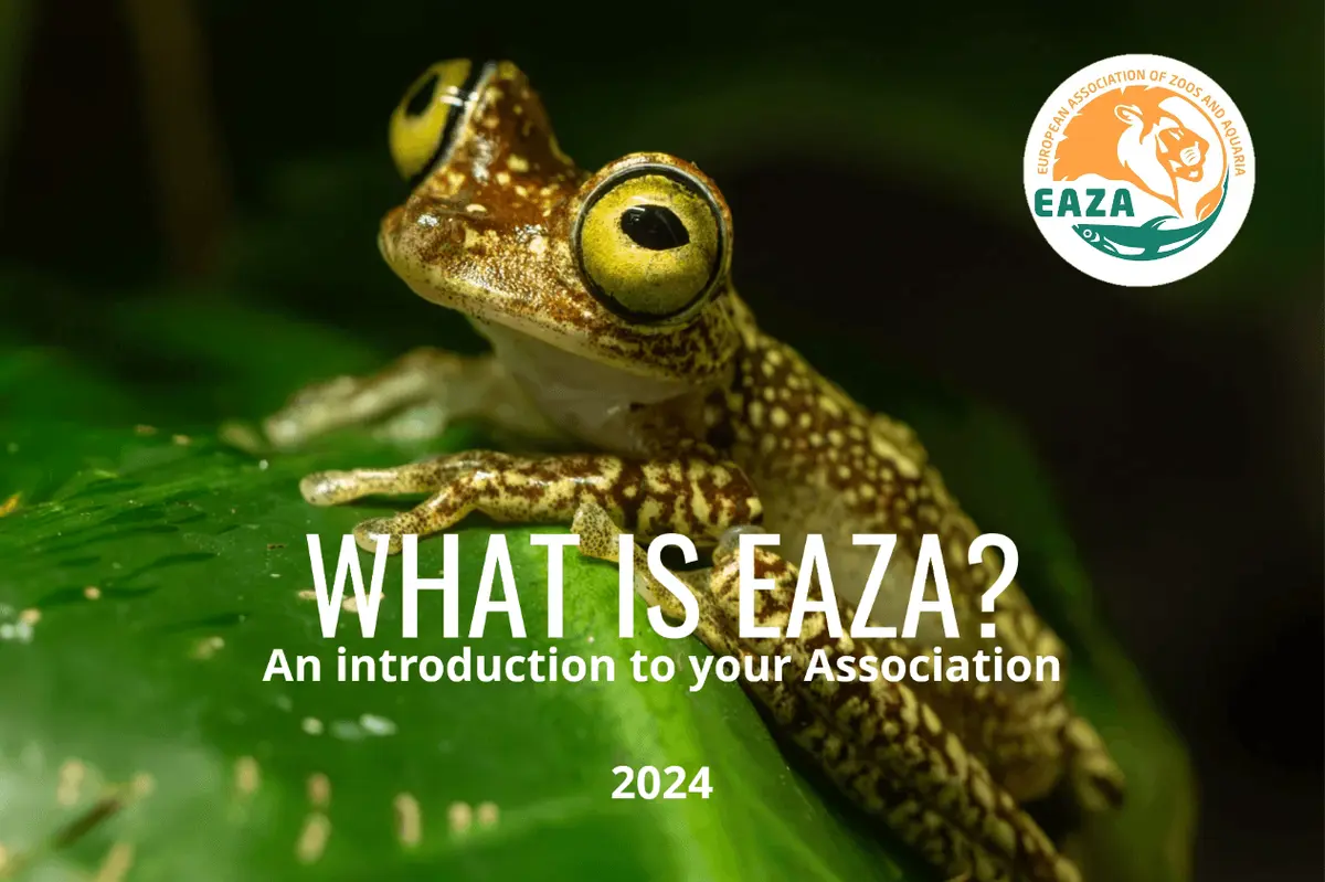 What is EAZA?
