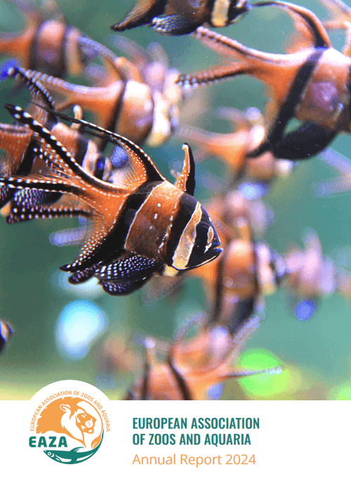 Annual Reports 2024