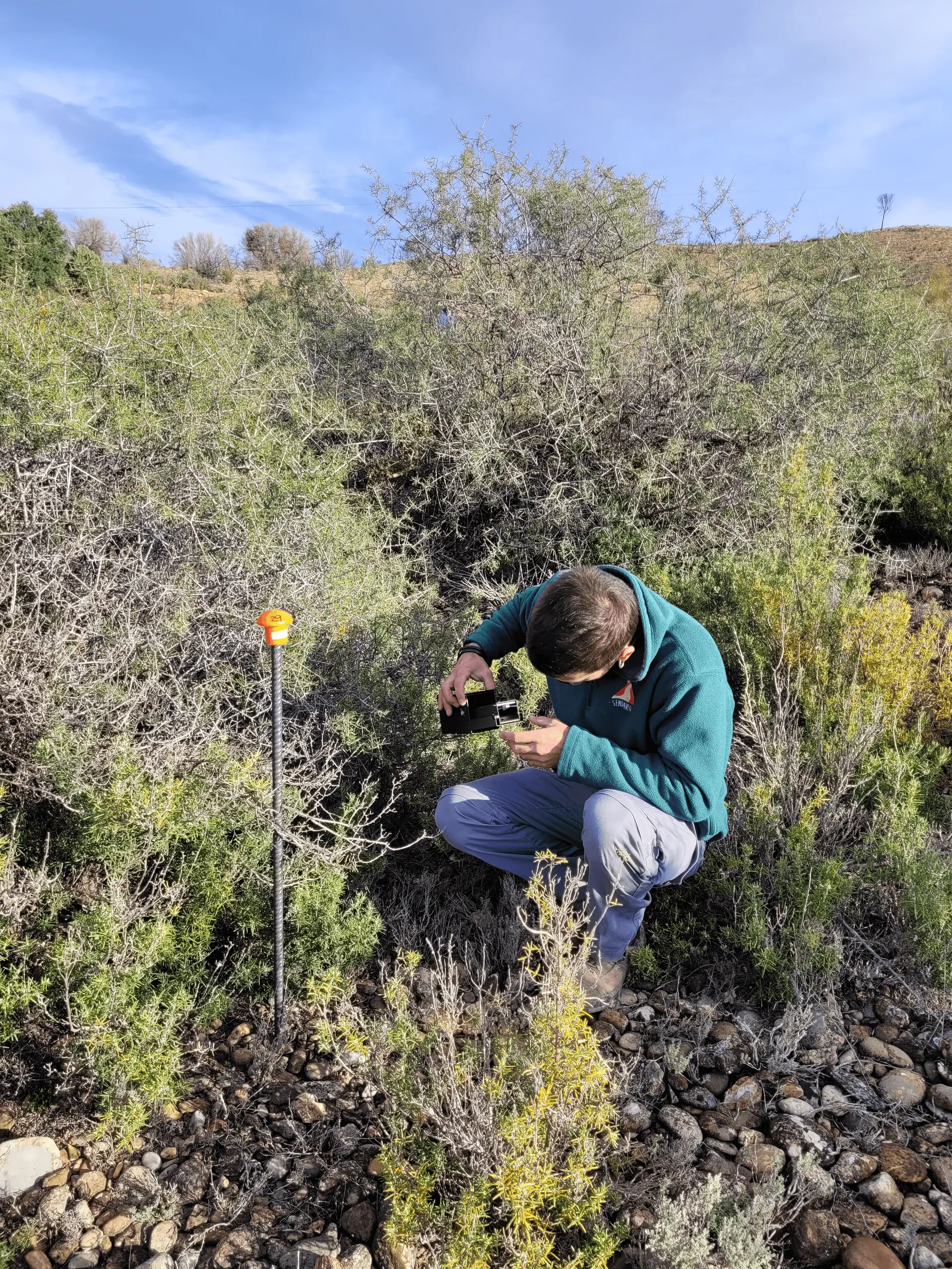 Sendaviva: A new force in species conservation