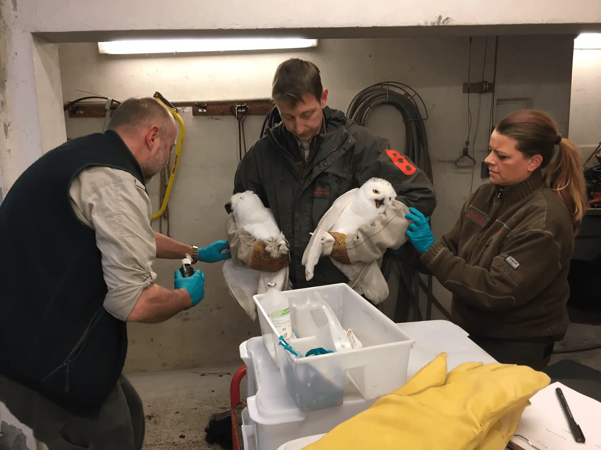Resources - Animal health