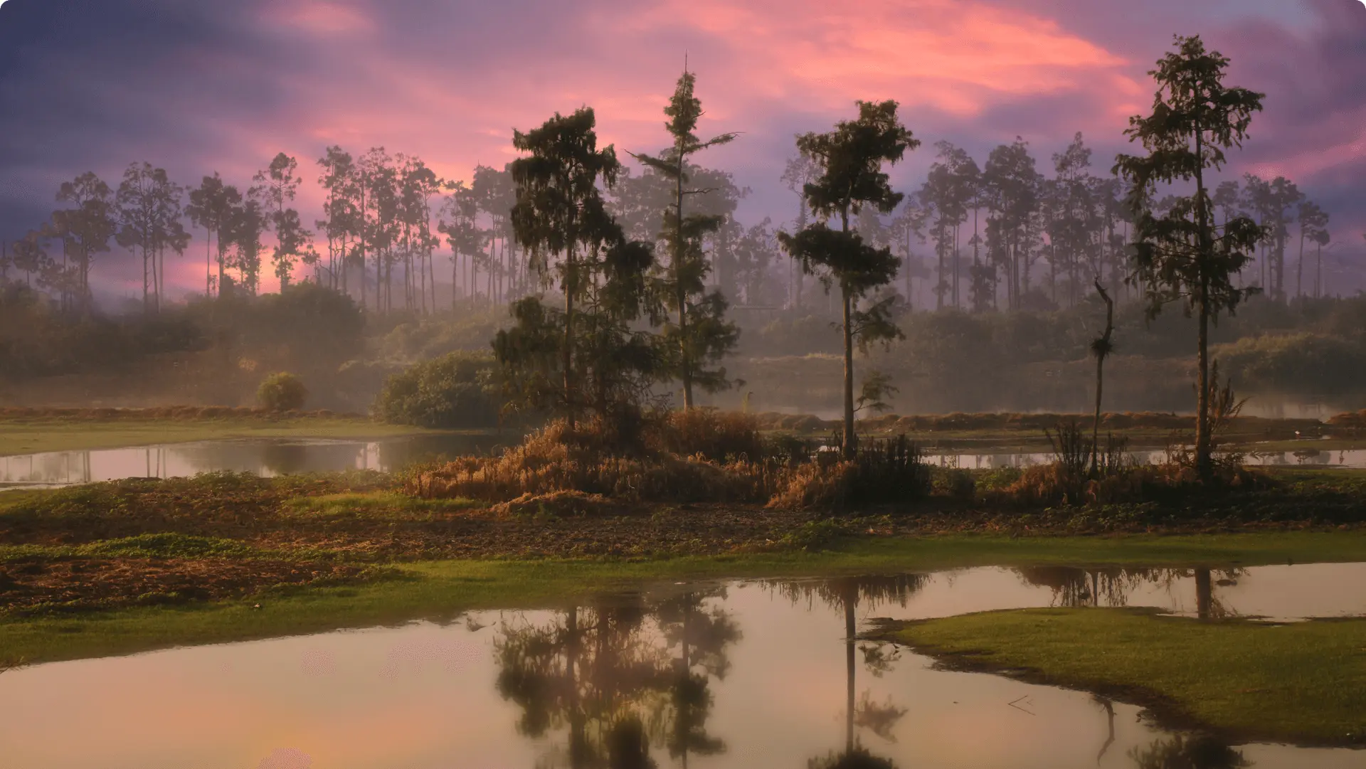 EAZA Conservation Campaigns