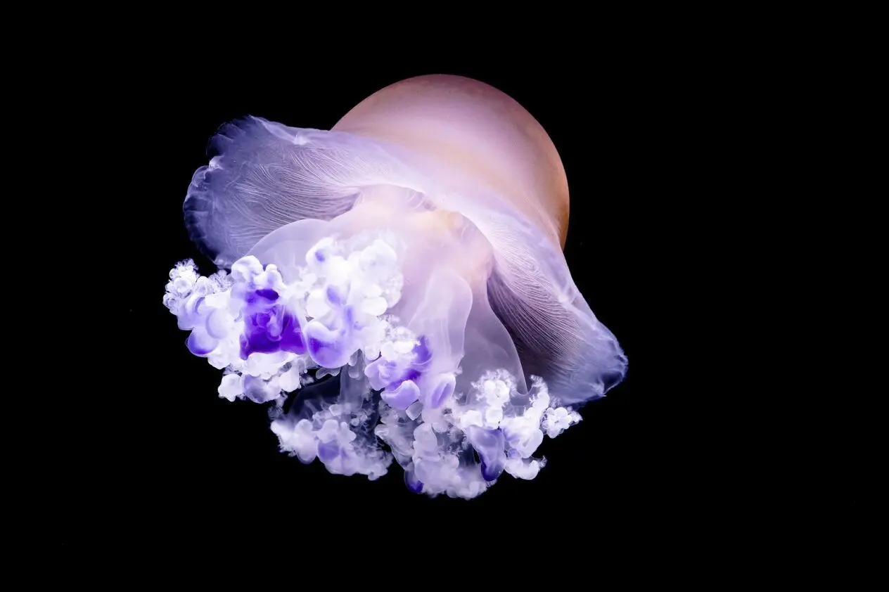 Stay up to date with us