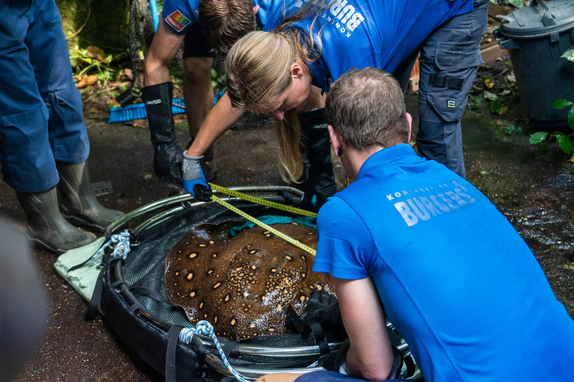 Resources - Caring for animals