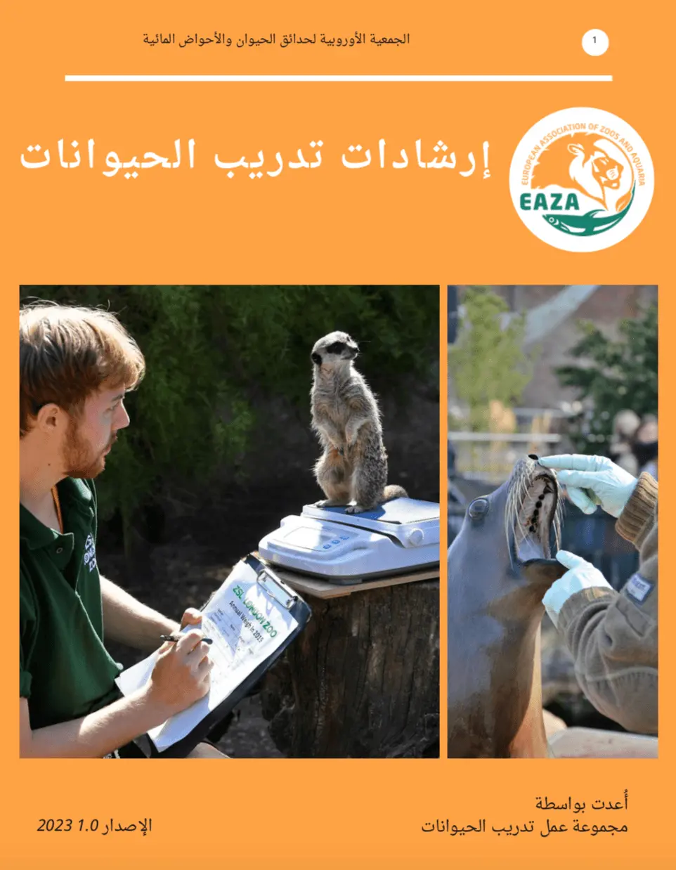 تاناويحلا بيردت تاداشرإ