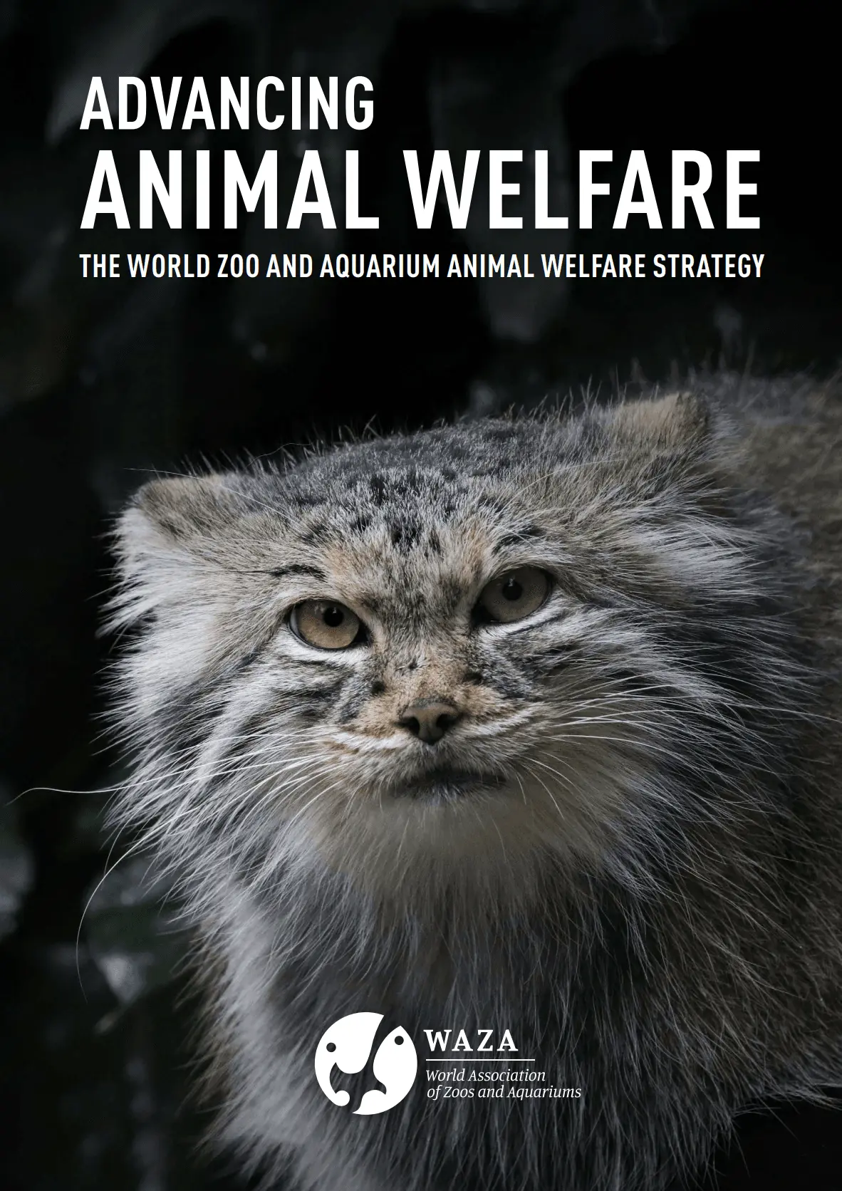 Advancing Animal Welfare