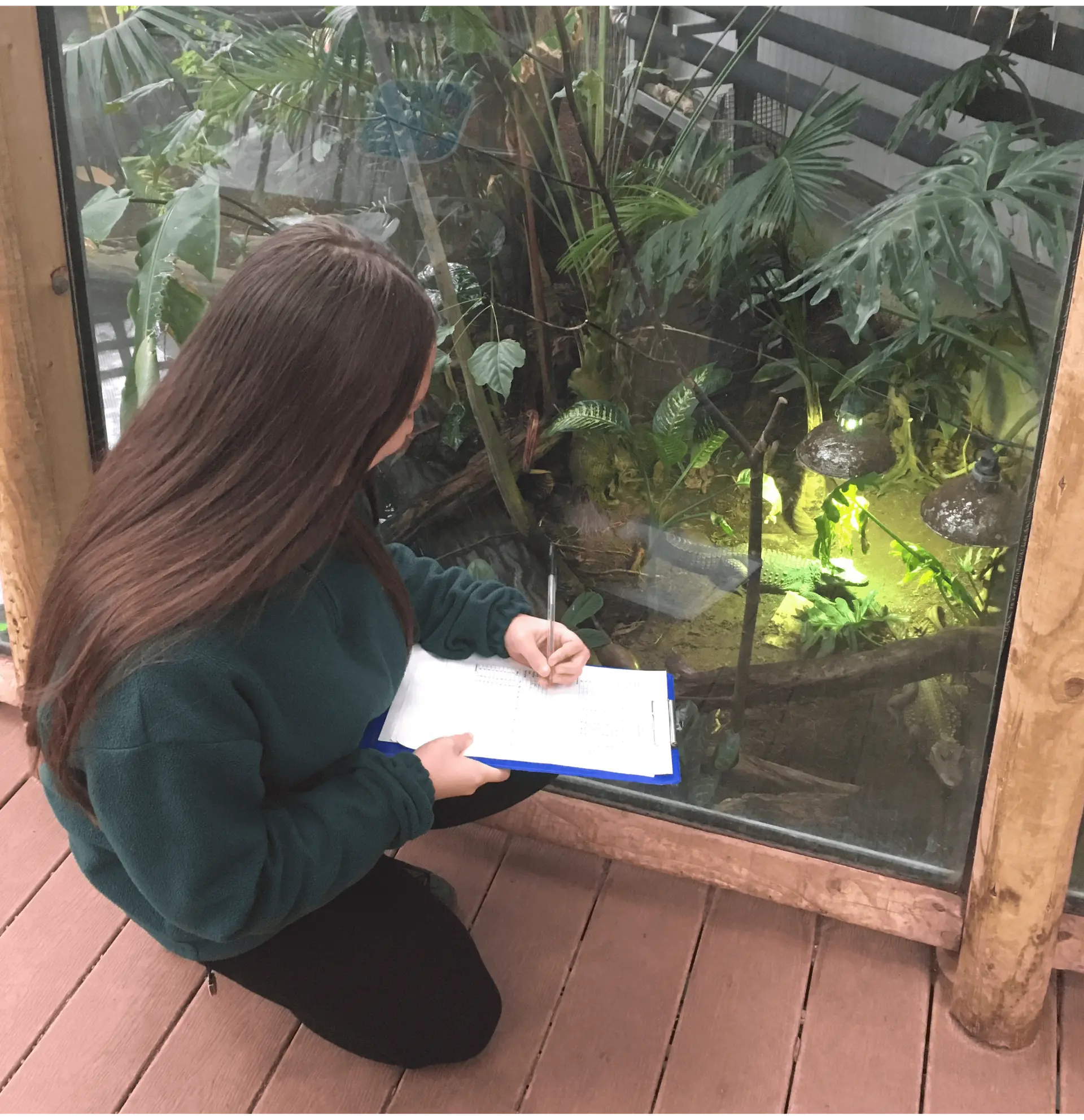 Resources - Animal welfare